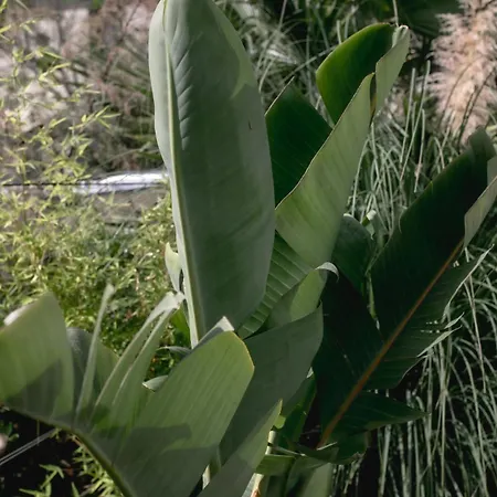 Kala - Private Pool & Sauna I Villa Loutráki