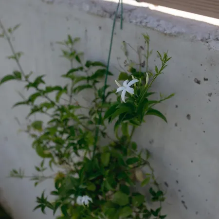 Kala - Private Pool & Sauna I