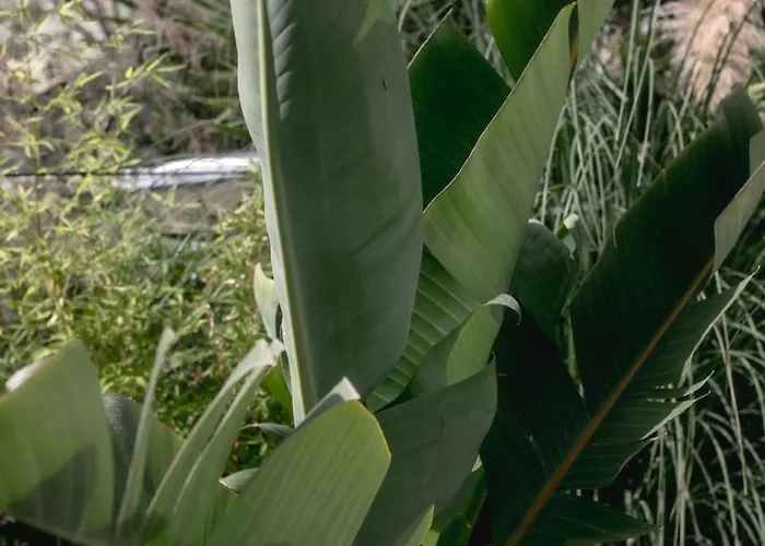 Kala - Private Pool & Sauna I Villa Loutraki (Corinthia)