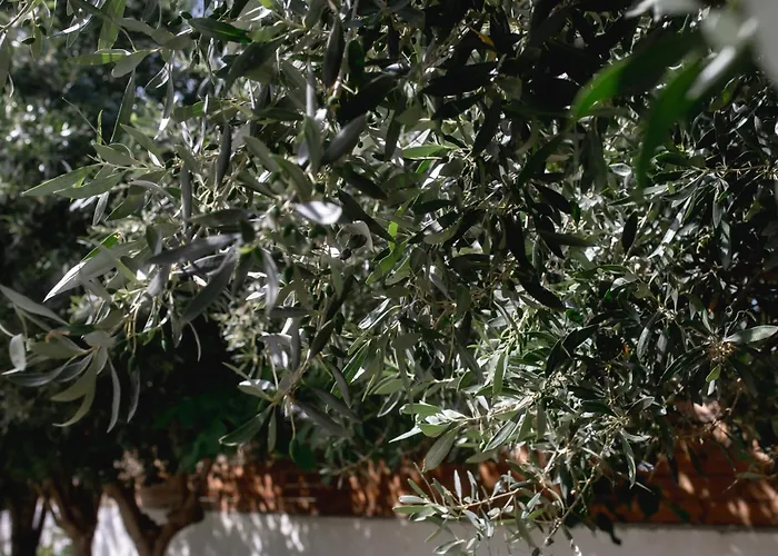 Kala - Private Pool & Sauna I 루트라키