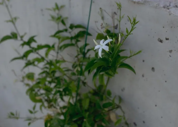 Kala - Private Pool & Sauna I